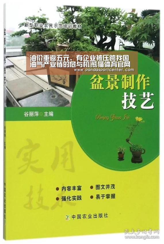 熊猫体育官网