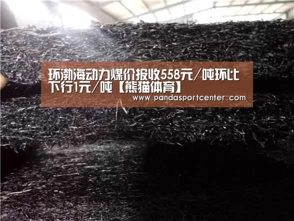 环渤海动力煤价报收558元/吨环比下行1元/吨【熊猫体育】(图1) 熊猫娱乐