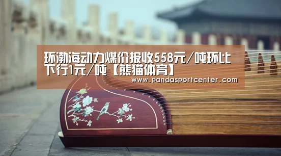 环渤海动力煤价报收558元/吨环比下行1元/吨【熊猫体育】(图2) 熊猫体育app