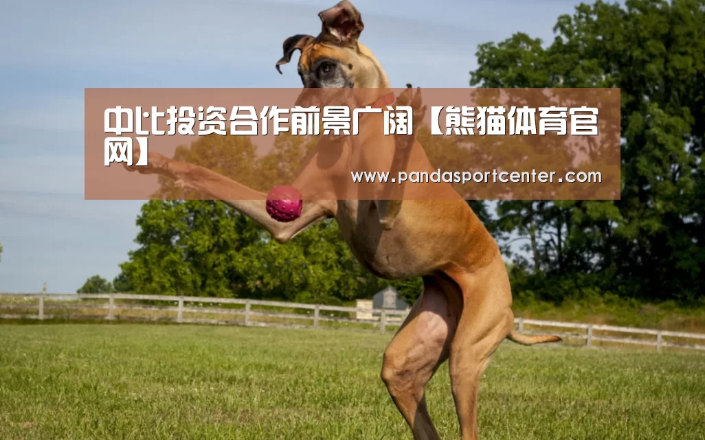 熊猫体育app