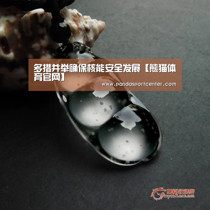 多措并举确保核能安全发展【熊猫体育官网】(图2) 熊猫体育