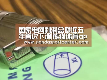 国家电网利润总额近五年首次下滑|熊猫体育app(图2) 熊猫体育