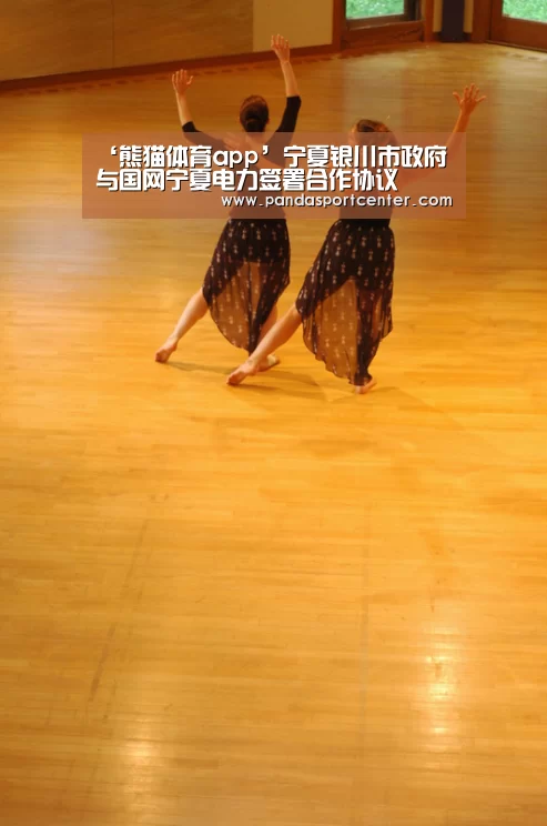 ‘熊猫体育app’宁夏银川市政府与国网宁夏电力签署合作协议